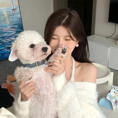 无家可归